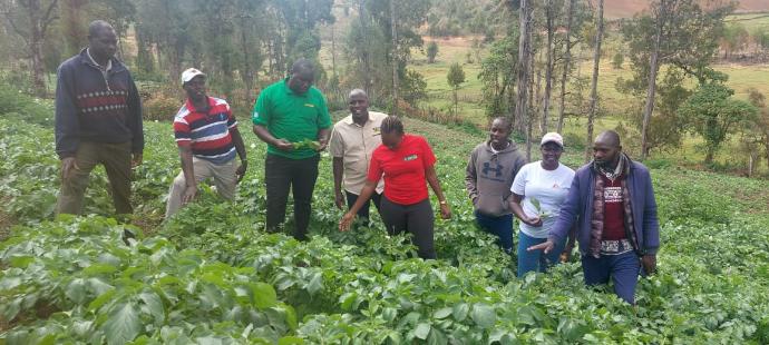 Small Holder Farmers